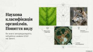 Презентація для 6 класу на тему "Наукова класифікація організмів. Поняття виду організмів"