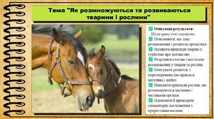 Як розмножуються та розвиваються тварини і рослини. 6 клас. Пізнаємо природу. За підручником авторів Коршевнюк Т. та інші.