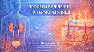 Експрес - тести з біології 8 клас НУШ Тема 7 Процеси виділення та терморегуляції