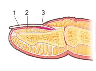 0901czrt-a95b-313x234.png