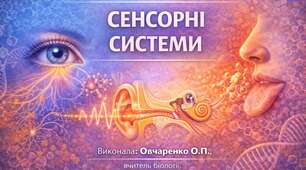 Експрес - тести з біології 8 клас НУШ Тема 8 Сенсорні системи