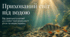 Презентація. Інфографіка. Ментальна карта.🐟🐠🐡Проєкт «Різноманітність променеперих риб своєї місцевості» 7 кл НУШ