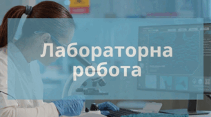 Лабораторна робота. Дослідження будови кореня та видозмін кореня