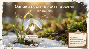 Презентація « Ознаки весни в житті рослин» до підручника Н.О.Будної ЯДС, 2 клас 2 частина