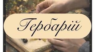 Відео-вірш «Гербарій» (екологічне виховання) Автор: Анна Куницька