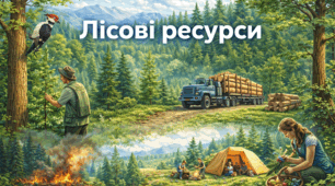 Робочий аркуш - Лісові ресурси 8 клас