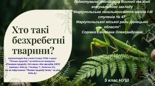 § 48. Хто такі безхребетні тварини?