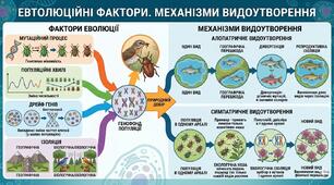 Біол. 9 кл. Тест "Еволюційні фактори. Механізми видоутворення"