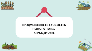 Презентація з біології для 11 класу на тему “Продуктивність екосистем різного типу. Агроценози”.