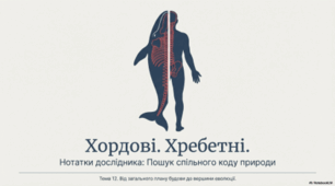 7 клас НУШ. Хордові. Хребетні