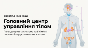 Залози внутрішньої та змішаної секреції.