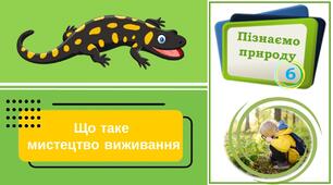 Презентація "Що таке мистецтво виживання". Пізнаємо природу. 6 клас НУШ