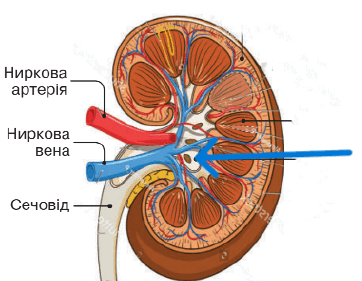 0901dj58-9c1d-362x281.png