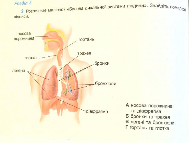 0901dksm-1e34-662x502.jpg