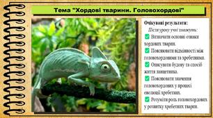 Хордові тварини. Головохордові. Біологія. 7 клас. До підручника Балан П., Козленко О. та ін.
