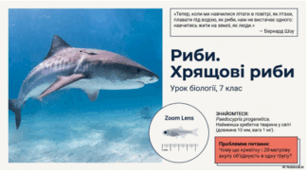 7 клас НУШ. Риби. Хрящові риби