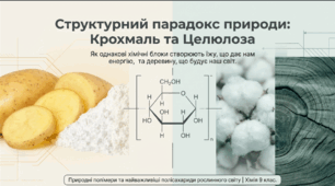 Крохмаль. Целюлоза
