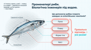7 клас НУШ. Променепері риби