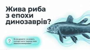 7 клас НУШ. Лопатепері