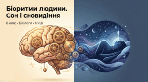 Біоритми людини. Сон і сновидіння. 8 клас НУШ
