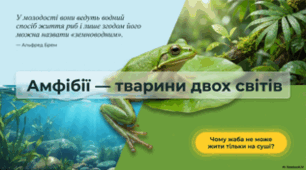 7 клас НУШ. Амфібії