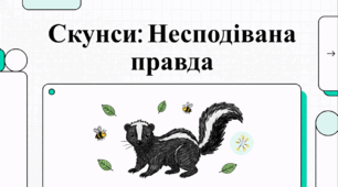 Відеоогляд "Скунс"