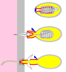 0901dyxx-aefa-216x234.png
