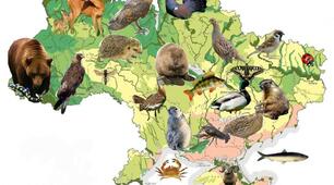 Ґрунти, рослинність і тваринний світ Харківщини