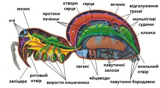 0901e276-3b39-658x362.jpg