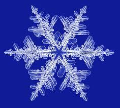 Snowflake Photographs - SnowCrystals.com