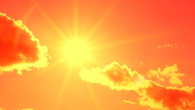 Could a Dose of Sunshine Make You Smarter? | The Scientist