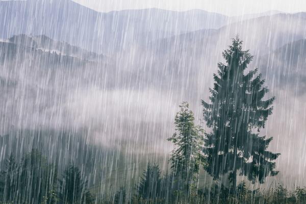 1+ Thousand Downpour Fog Nature Royalty-Free Images, Stock Photos & Pictures | Shutterstock