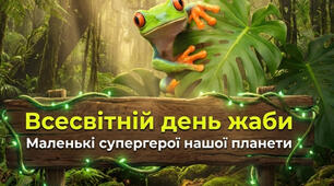 Всесвітній день жаби-20 березня