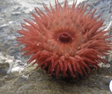 0901e4sp-699e-159x134.png