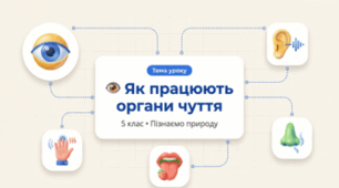 Як працюють органи чуття. 5 клас НУШ