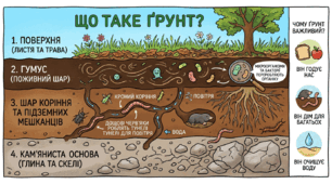 Ґрунт. Властивості, значення. ЯДС 2 клас