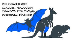 Презентація на тему :"Різноманітність ссавців. Першозвірі. Сумчасті. Комахоїдні. Рукокрилі. Гризуни" біологія 7 клас НУШ
