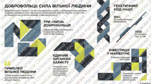Добровольці: вибір та воля