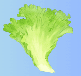 0901edvk-0cb1-271x257.png