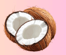 0901ee03-ca29-221x185.png