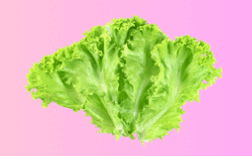 0901ee0g-4880-252x156.png
