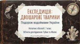 Презентація Губки та Жалкі