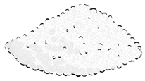 0901ehae-b30d-206x115.png