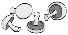 0901ehan-ff34-241x126.png