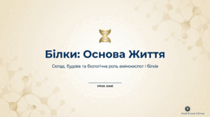 Білки. Склад, будова та роль
