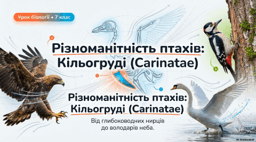Різноманітність птахів. Кільогруді. 7 клас НУШ
