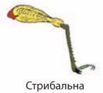 0901eojl-fec9-146x132.png
