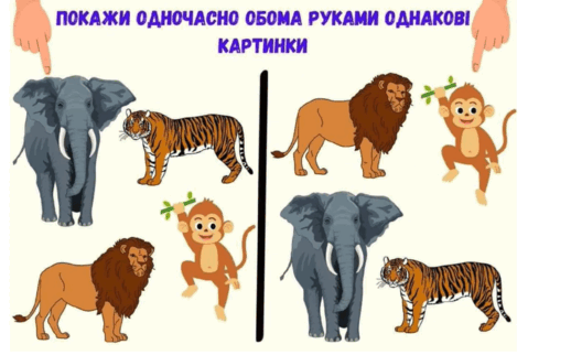 0901eqd9-20d0-518x322.png