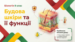 Будова шкіри та її функції. 8 клас НУШ