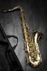 0901esep-6c8b-154x231.png